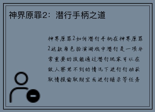 神界原罪2：潜行手柄之道